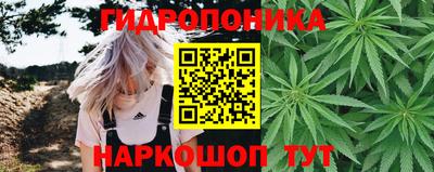 spice Моздок