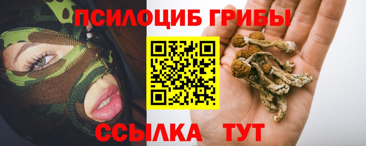 Салехард  Псилоцибиновые грибы мухоморы  Вход с VPN 